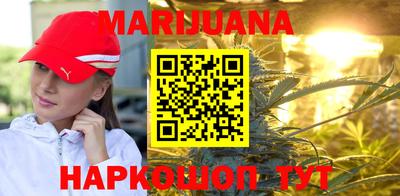 тгк Дмитров