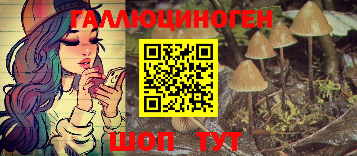 Галлюциногенные грибы MAGIC MUSHROOMS  Вход с VPN  Дзержинск 